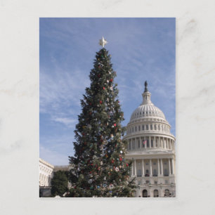 Cartes Pour Fêtes Annuelles Arbre de Noël du Capitole américain