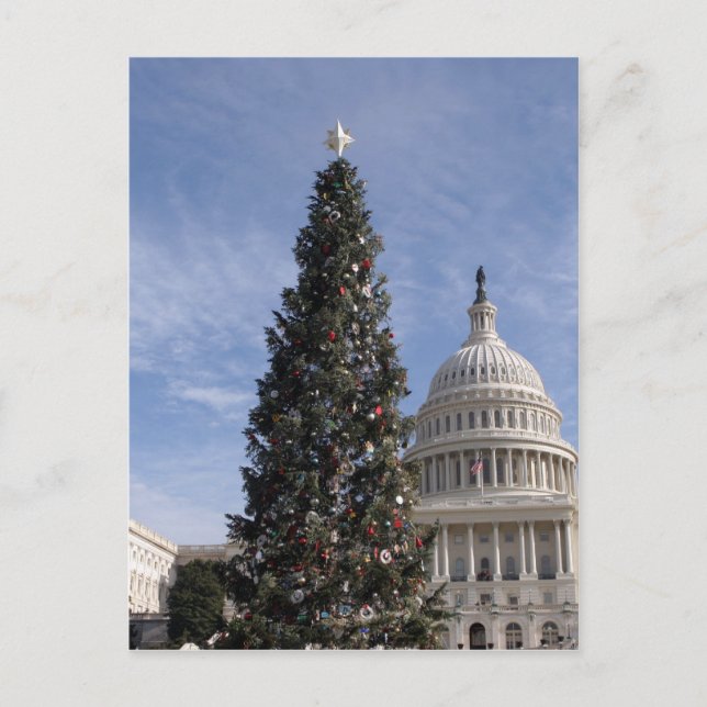 Cartes Pour Fêtes Annuelles Arbre de Noël du Capitole américain (Devant)