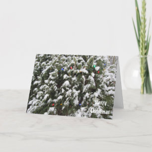 Cartes Pour Fêtes Annuelles Arbre De Noël Laisser Neige