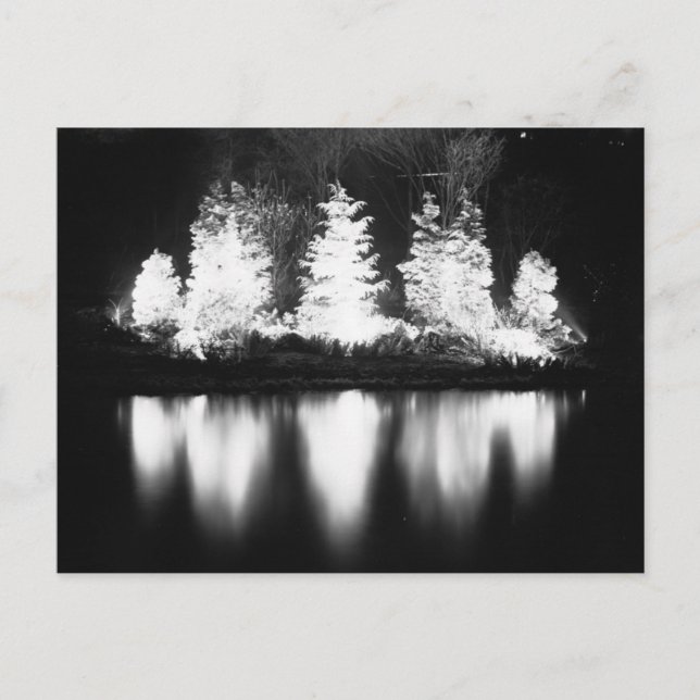 Cartes Pour Fêtes Annuelles Arbre de Noël noir et blanc (Devant)