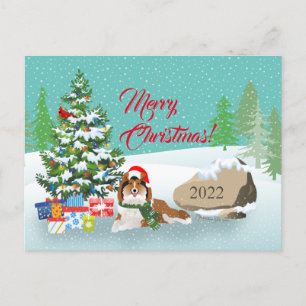 Cartes Pour Fêtes Annuelles Arbre de Noël pour animaux de compagnie avec étagè