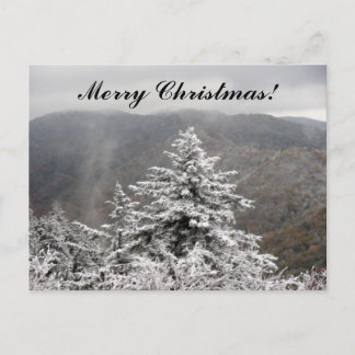 Cartes Pour Fêtes Annuelles Arbre neige de Noël
