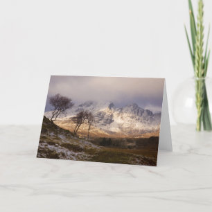 Cartes Pour Fêtes Annuelles Arbres à Torrin