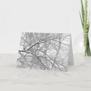 Cartes Pour Fêtes Annuelles Arbres de Milou