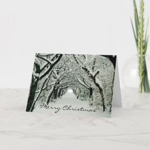 Cartes Pour Fêtes Annuelles Arbres d'hiver