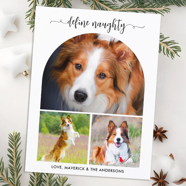 Cartes Pour Fêtes Annuelles Arch Définir Naughty Pet Photo Collage Noël (Créateur téléchargé)