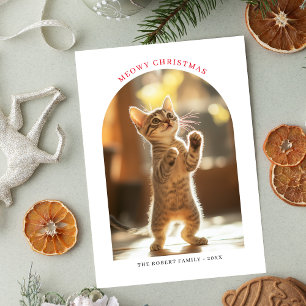 Cartes Pour Fêtes Annuelles Arch Photo Meowny Noël Rouge Naughty Cute Cat