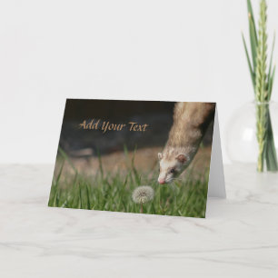 Cartes Pour Fêtes Annuelles Arrêtez De Sentir Les Dandelions Ferrets