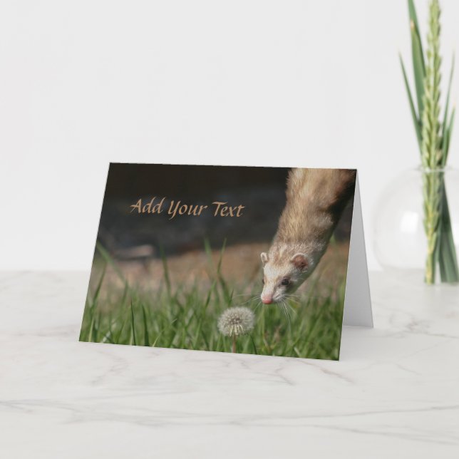 Cartes Pour Fêtes Annuelles Arrêtez De Sentir Les Dandelions Ferrets (Devant)