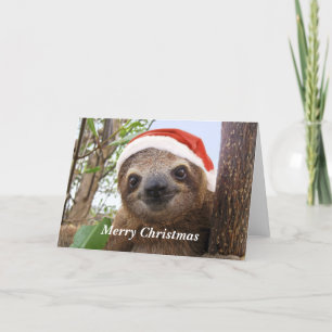 Cartes Pour Fêtes Annuelles Arrière - plan de Noël