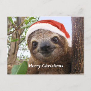 Cartes Pour Fêtes Annuelles Arrière - plan de Noël 