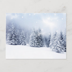 Cartes Pour Fêtes Annuelles Arrière - plan de Noël avec sapin neige 2