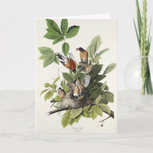 Cartes Pour Fêtes Annuelles Art ancien nid d'oiseau Merle d'Amérique d'Audubon