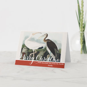 Cartes Pour Fêtes Annuelles Art de la nature de l'oiseau Ibis blanc d'Audubon