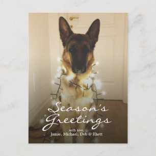 Cartes Pour Fêtes Annuelles As-tu dit Père Noël Paws ?