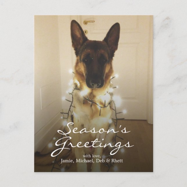 Cartes Pour Fêtes Annuelles As-tu dit Père Noël Paws ? (Devant)