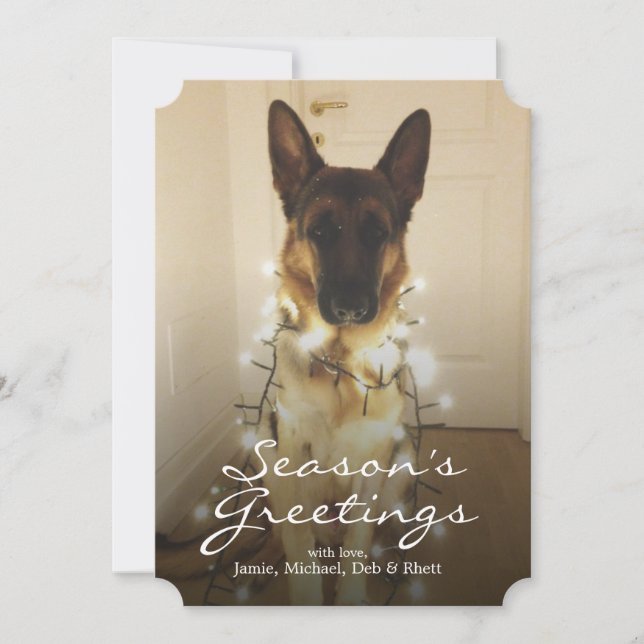 Cartes Pour Fêtes Annuelles As-tu dit Père Noël Paws ? (Devant)
