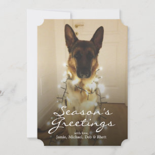 Cartes Pour Fêtes Annuelles As-tu dit Père Noël Paws ?
