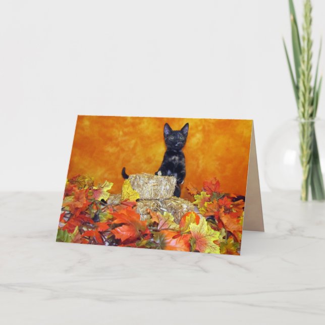 Cartes Pour Fêtes Annuelles Ashlynn's Fall / Thanksgiving Card - Cute Cat Pic (Devant)