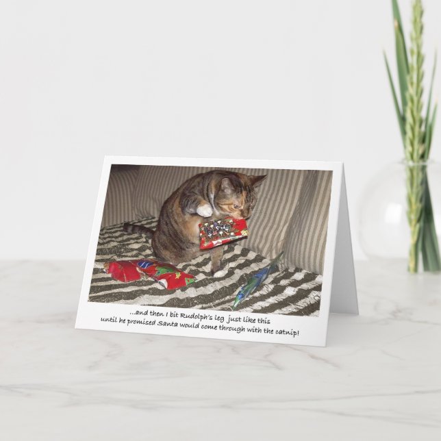 Cartes Pour Fêtes Annuelles Attaque de chat de Noël (Devant)
