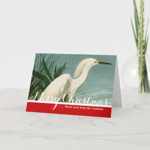 Cartes Pour Fêtes Annuelles Audubon Héron de neige Oiseaux d'aigrettes blanche