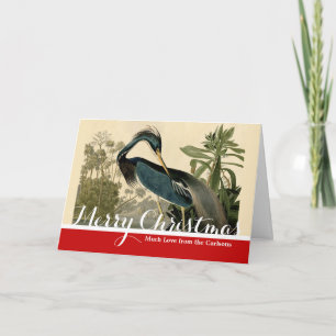 Cartes Pour Fêtes Annuelles Audubon Louisiana Heron Birds America Art