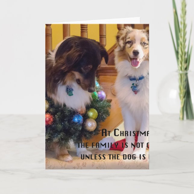 Cartes Pour Fêtes Annuelles Australiens de Joyeux Noël (Devant)