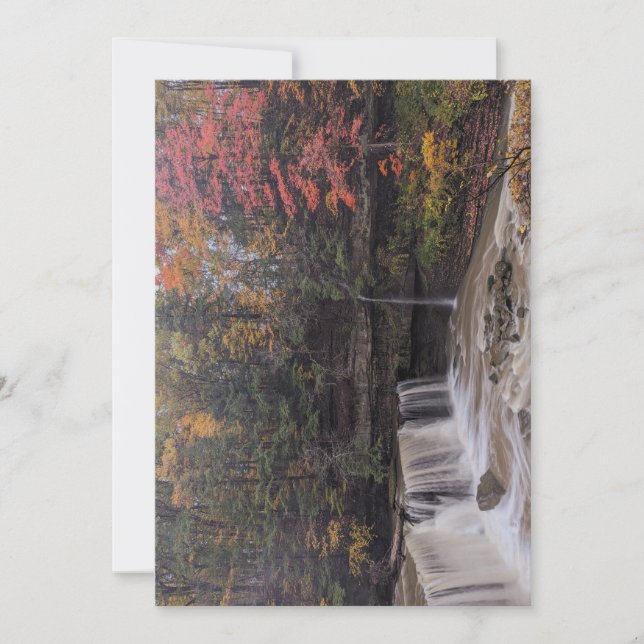 Cartes Pour Fêtes Annuelles Automne à Great Falls of Tinkers Creek (Devant)