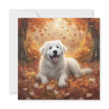 Automne - Les Pyrénées Joyeuses Chiot