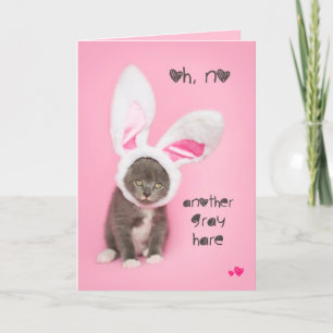 Cartes Pour Fêtes Annuelles Autre lièvre gris chaton Pâques ou Anniversaire