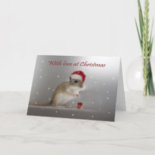 Cartes Pour Fêtes Annuelles Avec amour à Noël