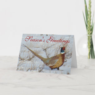 Cartes Pour Fêtes Annuelles B22 Pheasant à cou circulaire