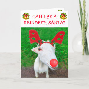 Cartes Pour Fêtes Annuelles Baby Chèvre veut être un Noël de rennes