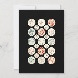 Cartes Pour Fêtes Annuelles bactéries drôle microbiologie bactéries science mi