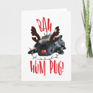 Cartes Pour Fêtes Annuelles Bah Hum Carlin Carlin noir Reindee de Noël
