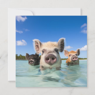 Cartes Pour Fêtes Annuelles Bahamas Swimming Pig 2024