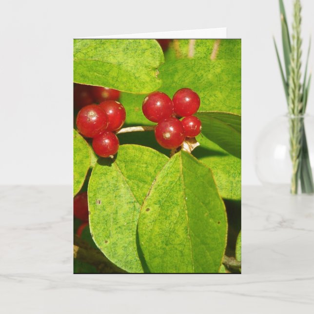 Cartes Pour Fêtes Annuelles Baies rouges (Devant)