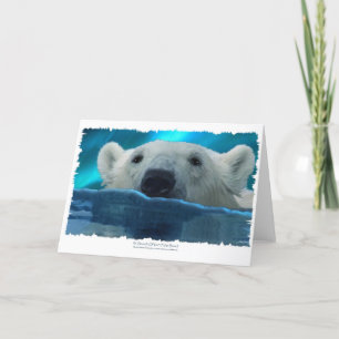 CARTES POUR FÊTES ANNUELLES BAIGNOIRE POLAIRE