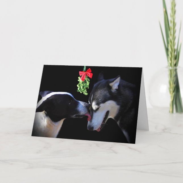 Cartes Pour Fêtes Annuelles Baiser Chiens Mistiltoe (Devant)