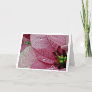 Cartes Pour Fêtes Annuelles Baisses de pluie