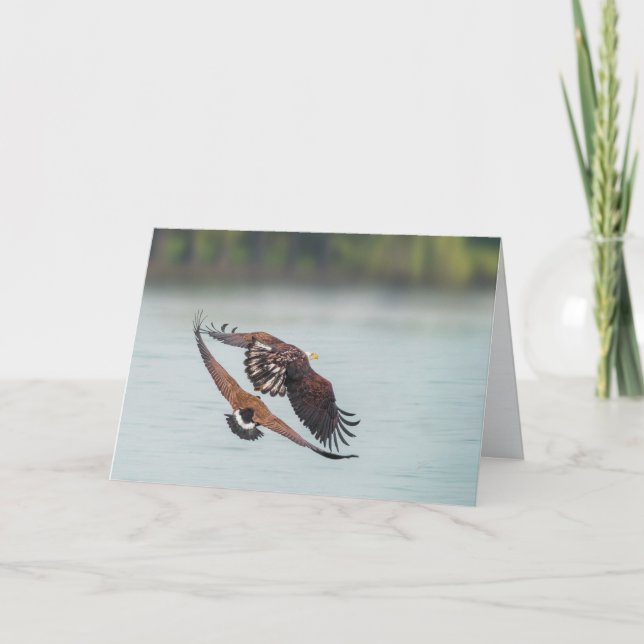 Cartes Pour Fêtes Annuelles Bald Eagle et Goose Wildlife Blank (Devant)
