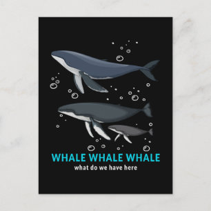 Cartes Pour Fêtes Annuelles Baleine À Baleine Qu'avons-nous ici