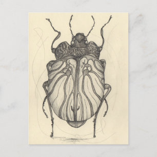 Cartes Pour Fêtes Annuelles Ballet de coléoptère