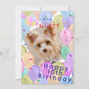 Cartes Pour Fêtes Annuelles Balloon Pet Pastel Photo