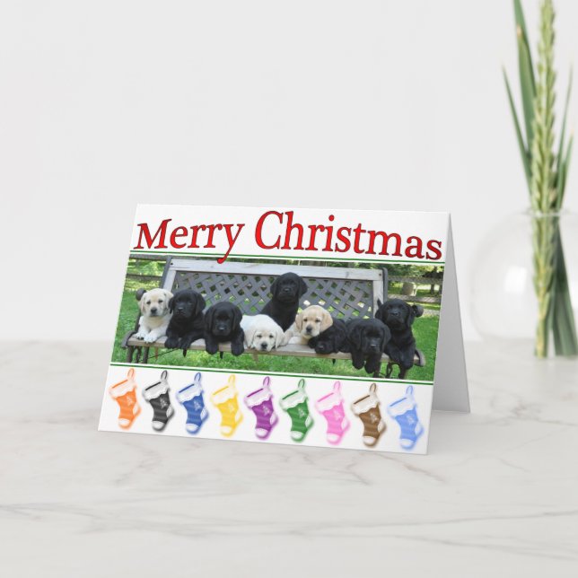 Cartes Pour Fêtes Annuelles Banc d'honneur Noël (Devant)