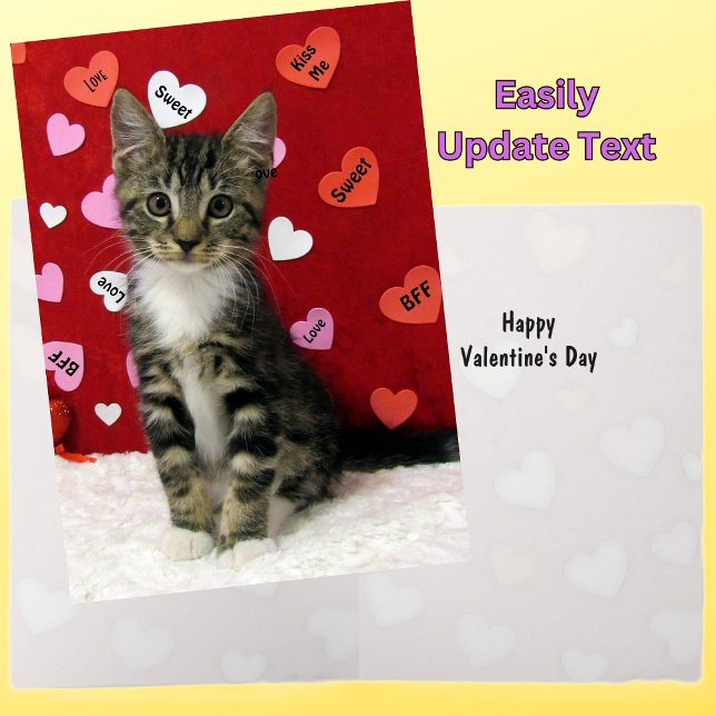 Cartes Pour Fêtes Annuelles Bandit's Valentine's - Chat / Kitten Valentine Car (Créateur téléchargé)