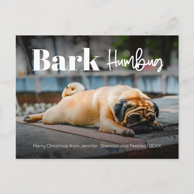 Cartes Pour Fêtes Annuelles Bark Humbug Cute Photo personnalisée moderne Poste (Devant)