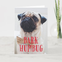 Bark Humbug mignon Chien chiot | Photo de vacances