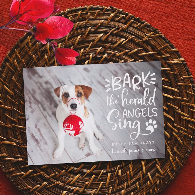 Cartes Pour Fêtes Annuelles Barques de fête | Pet Photo Holiday Card (Créateur téléchargé)