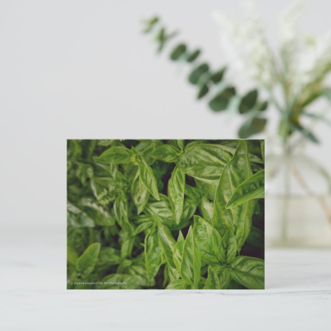 Cartes Pour Fêtes Annuelles Basil Fine Art (Debout devant)